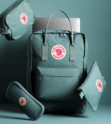 FJÄLLRÄVEN